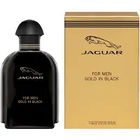 Jaguar Classic Gold In Black Eau de toilette 100 ml