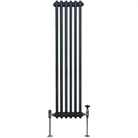 MonsterShop Traditionel 2-søjlet radiator - 1500 x 292 mm - Antracitgrå