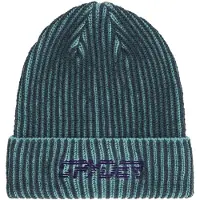 Spyder Logan Beanie
