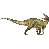 Papo 55101, 5,7 kg