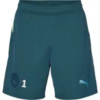 Puma Manchester City 25/26 Shorts Men, Sport, Green Terrain, S
