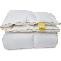 Norvigroup Moskusdun dyne - Helårs varm dyne - Fejø dyne - 200x220 cm -