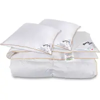 Borg Living Helårsdyne med gåsedun - Dyne og pudesæt - 240x220 cm + To puder 60x63 cm - gåsedunsdyne