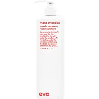 Evo Mane Attention Protein Treatment