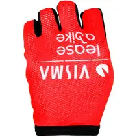 Tvl Replica Team Visma Lease A Bike La Vuelta 2025 Victory Handsker