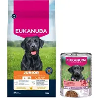 Eukanuba Junior Large kylling hundefoder