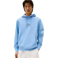 Tommy Hilfiger Outline Flag Script Hættetrøje