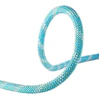 Edelrid Interstatic Protect 11 Mm Reb