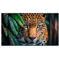 Newline Stv-4324p 43´´ 4k Lcd Skærm