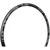 Gtr Rr Disc Fælg