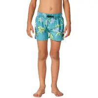 Rip Curl Mason Volley Badeshorts