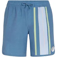 O'Neill O'Riginals Scallop 16" Boardshorts blå