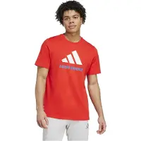 Adidas Fc Bayern Seasonal Graphic T-shirt Med Korte ærmer