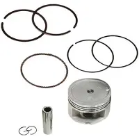 Hert Aprilia Leonardo Stempel