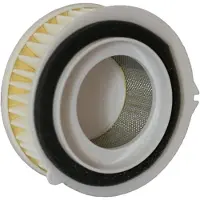 Champion Parts Caf3607 Luftfilter