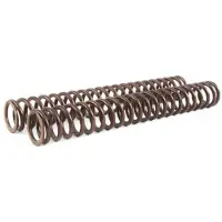 Öhlins Gaffelfjeder 25.5/300/10.0 1 Enhet