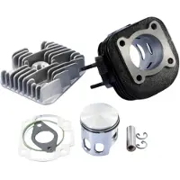 Polini 166.0076/12r Racing Ø47mm Yamaha/minarelli Cylinderkit