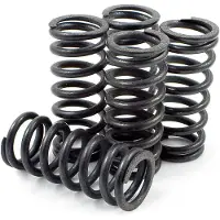 Dp Brakes Hds70-5 Honda Cr125r 2000-2003 Koblingsfjedersæt 5 Enheder