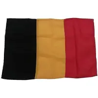 Goldenship Belgiens Flag