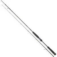 Daiwa Labrax Seabass Spinnestang