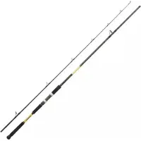 Daiwa Grandwave Kystjigging Stang