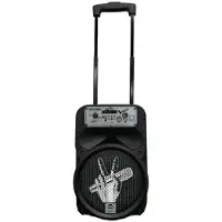 Toy Planet Karaoke The Voice 2 Bt-mikrofoner
