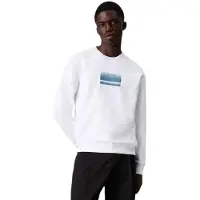 Calvin Klein Gradient Logo Hættetrøje