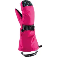 Viking Nomadic Gore-tex Vanter