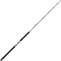 Daiwa Saltiga Deep Jigging Stang
