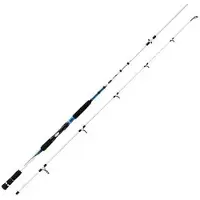 Mitchell Avocet Salt Spinnestang