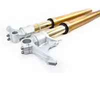 Öhlins Fgrt200 Kawasaki Zx 10 Rr/ninja 1000 2021-2024 Forgaffel
