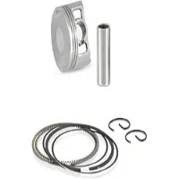GOETZE Honda Sh 300i 2007/2019 72.25 Mm Stempelkit
