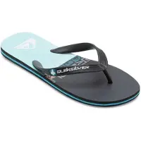 Quiksilver Molokai Flip-flops