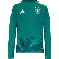 Adidas Funktionsskjorte 'DFB Home' grøn / petroleum / hvid