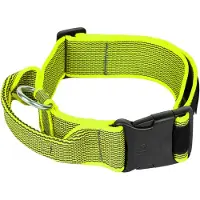 JULIUS K-9 Collar 40 Mm Hundehalsbånd