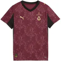 Puma Galatasaray SK 25/26 Third Jersey Youth, Clothing, Regal Red/Gold, 13-14Y