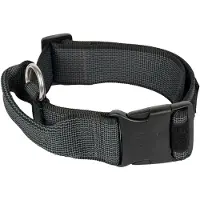 JULIUS K-9 Collar 40 Mm Hundehalsbånd