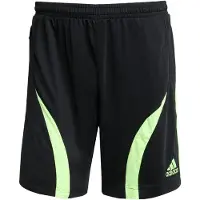 Adidas Originals Bukser 'Teamgeist Adicolor' lysegrøn / sort