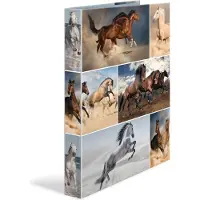 Herma Ring binder A4 cardboard 4D horses
