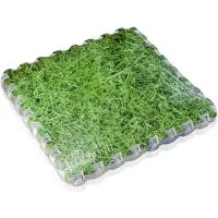 Gre Accessories Swimmingpoolgulvbeskytter 8 Mm 9 Enheder