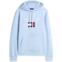 Tommy Hilfiger Sweatshirt navy / himmelblå / rød / hvid