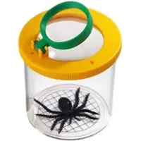 Safari Ltd Sådan Ser Insekter! Figur