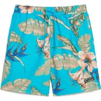 Superdry Badeshorts lyseblå / cappuccino / gran / abrikos