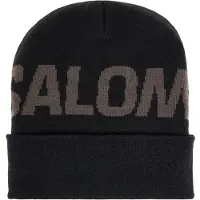 Salomon Hermitage Beanie