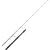 Cinnetic Blue Line Inshore Ul Jigging Stang