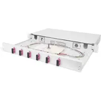 Digitus Professional DN-96320-4 - Fiber optisk splice boks - SC X 12 - grå, RAL 7035 - 1U - 19