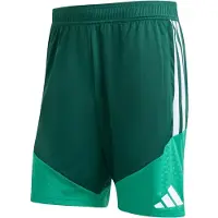 Adidas Algeriet 26 træningsshorts, størrelse Medium
