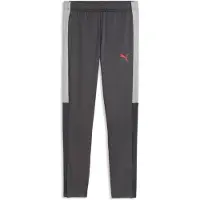 Puma IndividualLIGA Football Training Pants Youth, Clothing, Strongray/Red/Gray Echo, 9-10Y