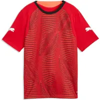 Puma Trænings T-Shirt IndividualFINAL - Rød/Sort Børn, størrelse 152 cm