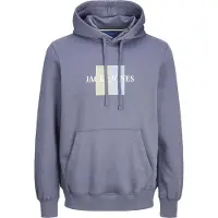 Jack & Jones Frederiksberg Box Hættetrøje